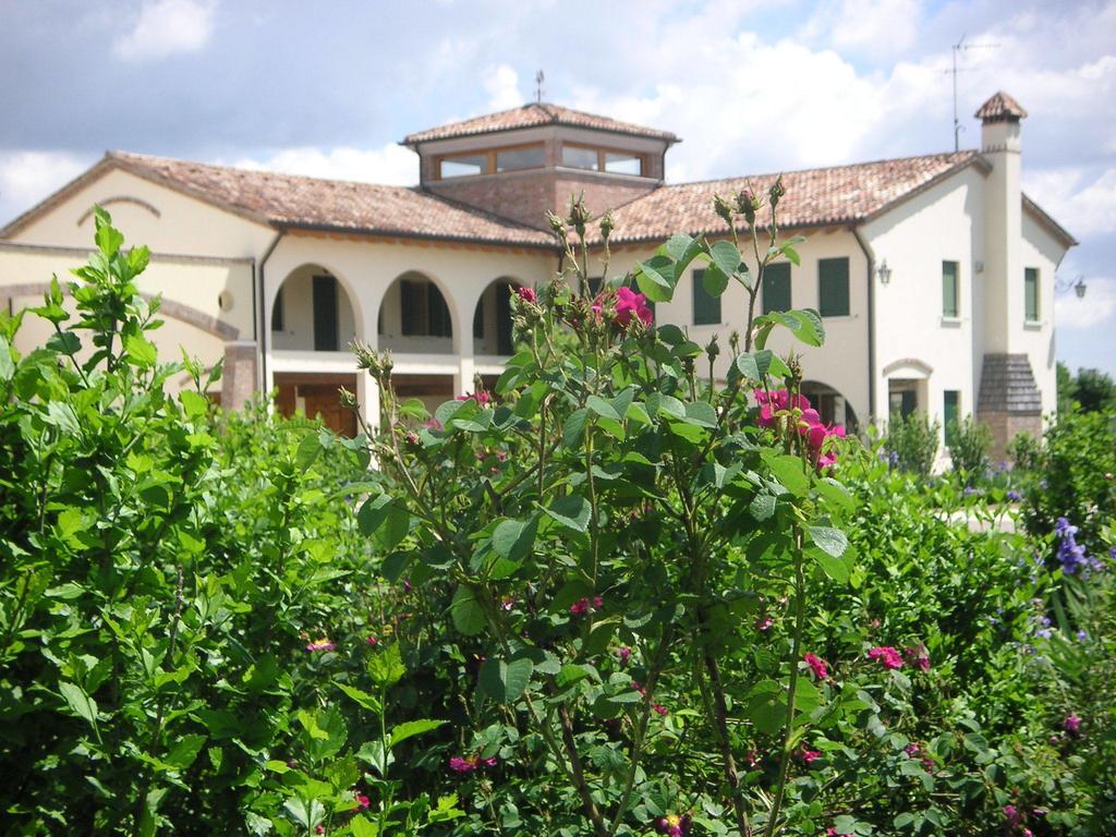 Agriturismo Due Torri Montebelluna Exteriér fotografie